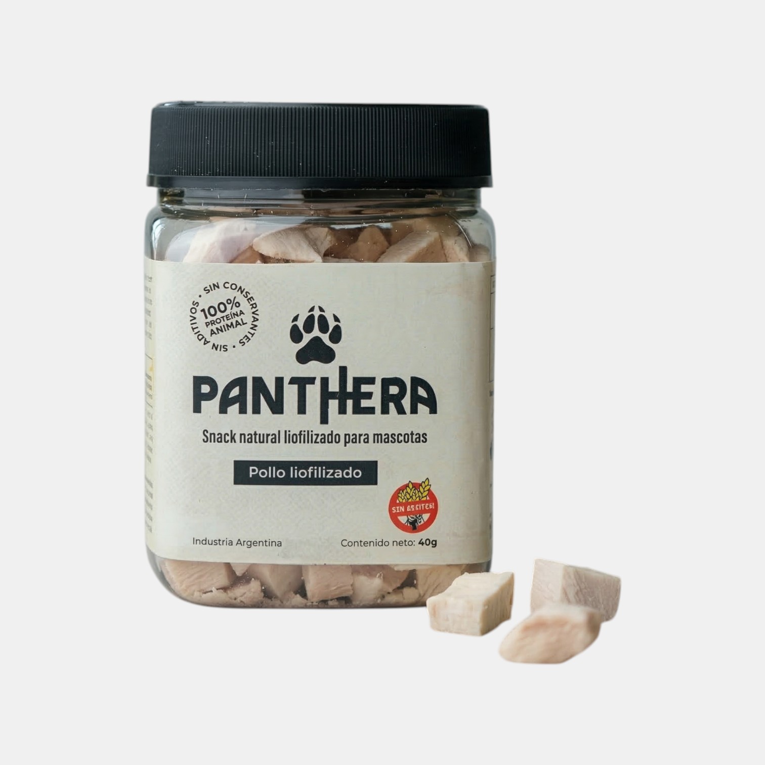 Panthera Pollo